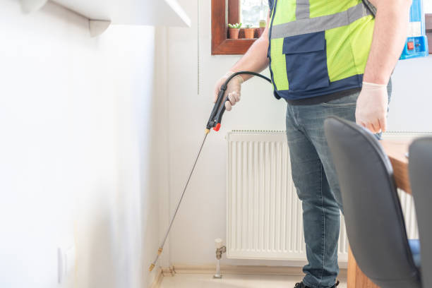 Best Wasp Removal Services  in Big Le, AK