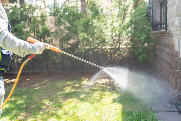 Pest Prevention Services in Big Lake, AK