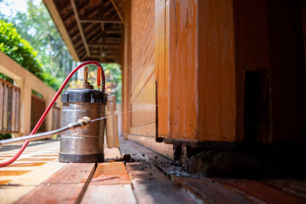 Best Exterminator Services  in Big Le, AK